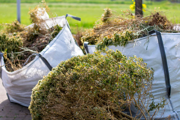 Best Basement Cleanout Services  in Loveland, OH